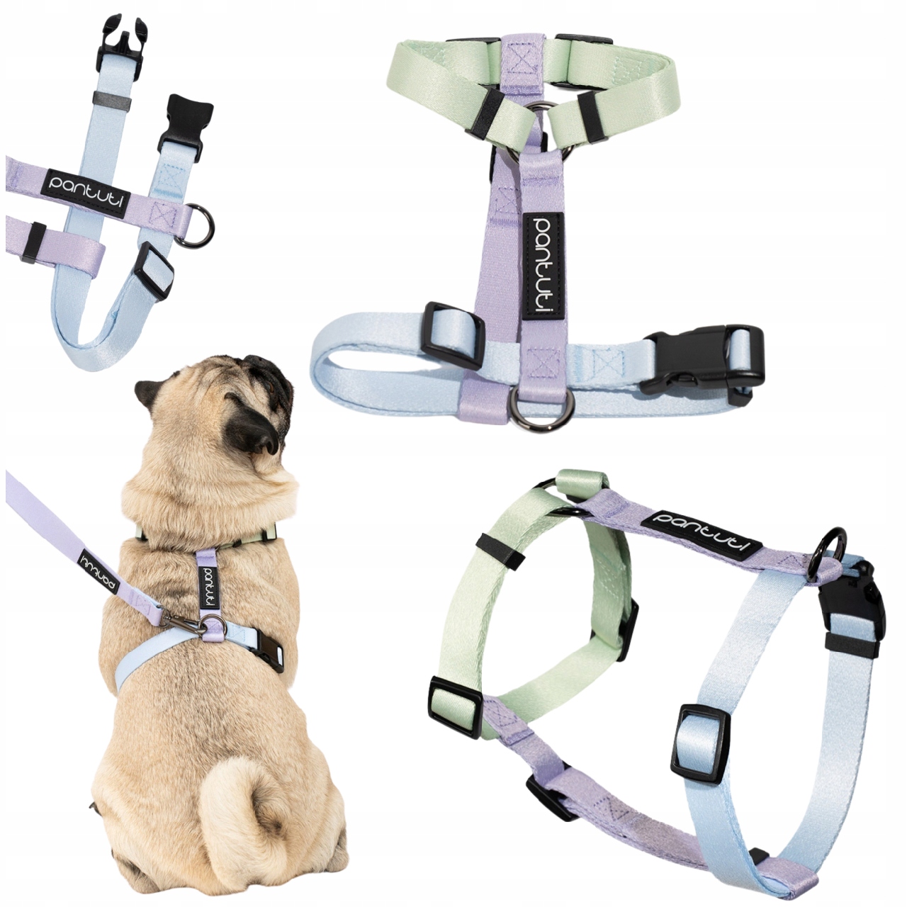 Levně Postroj Pro Psa Guard Postroj Pro Malého Psa Silný, Beztlakový, Barevný Xs