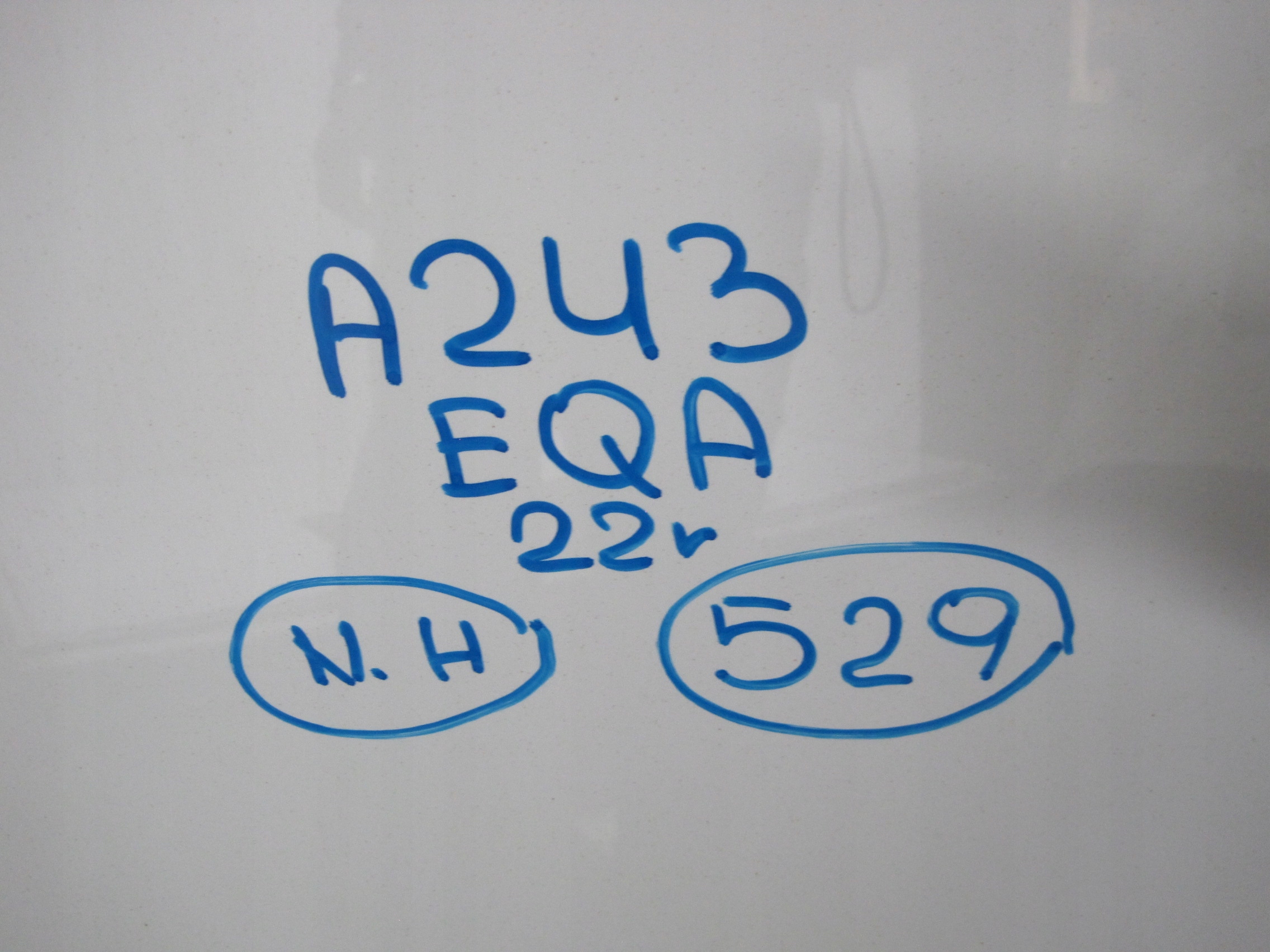cofano MERCEDES EQA A243 22R