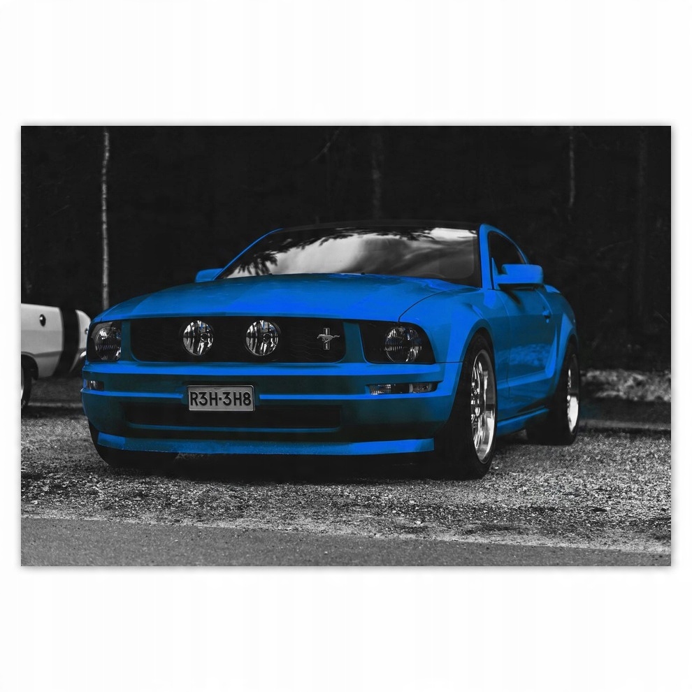 

Naklejki 155x105 Niebieskie Ford Mustang