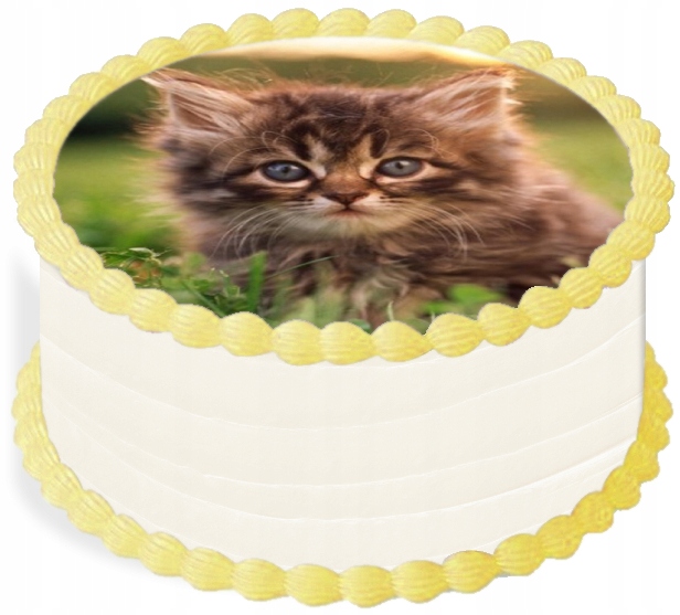 oplatek na dort 14 cm Zvířata Kočka Narozeniny