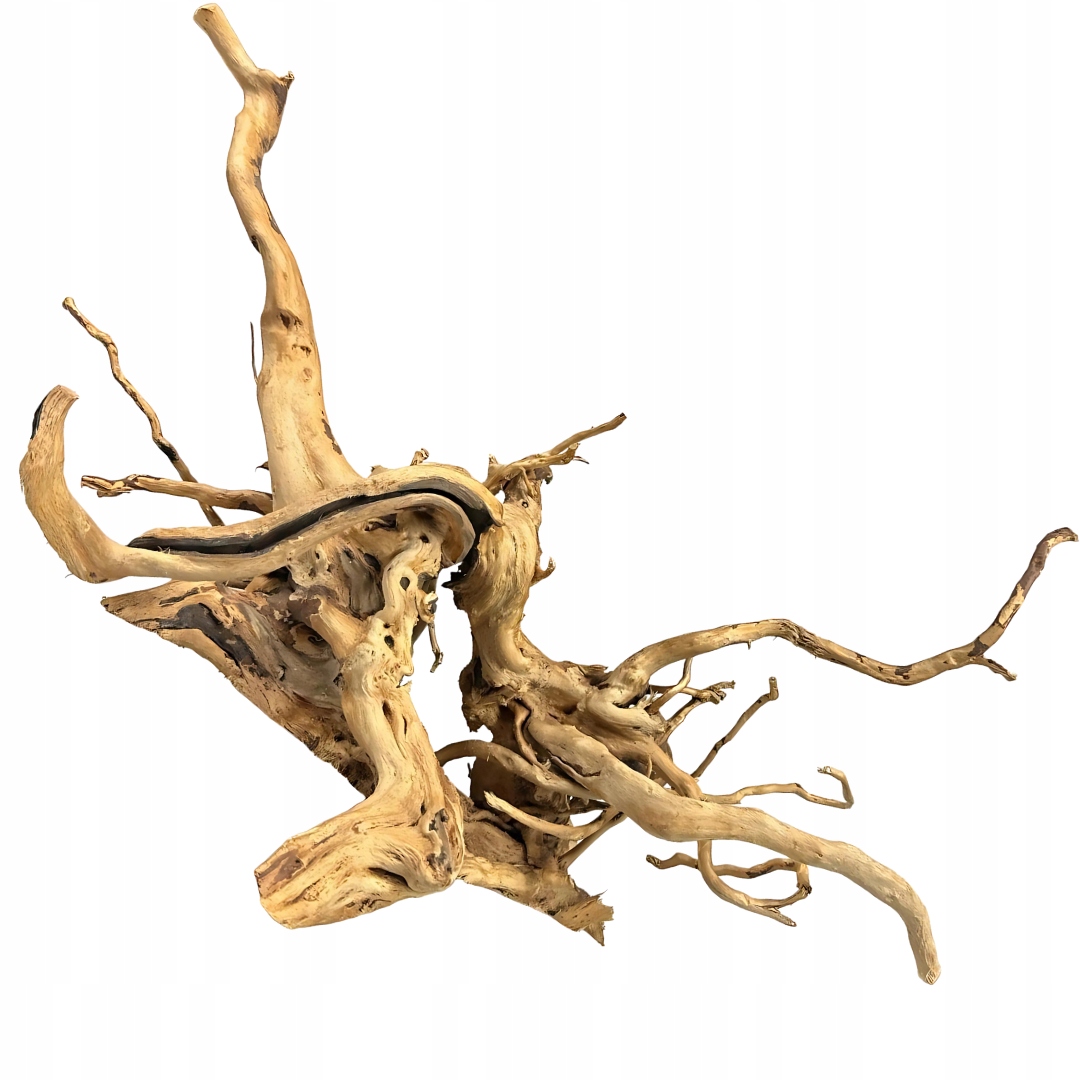 Levně Japonský kořen pro akvárium Přírodní dekorace Terárium Dřevo 21-40 cm