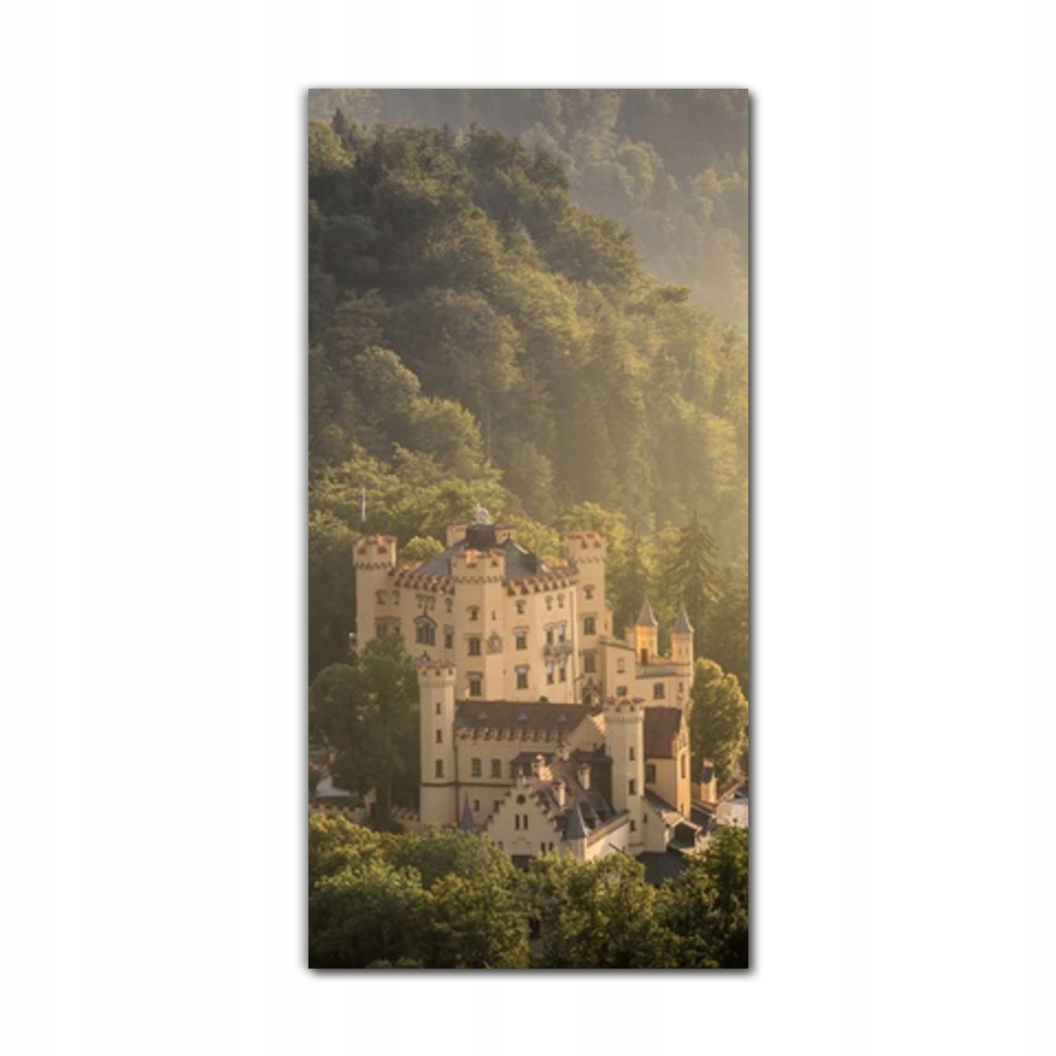 

Foto-obraz szklany do salonu 60x120 Zamek Bayern