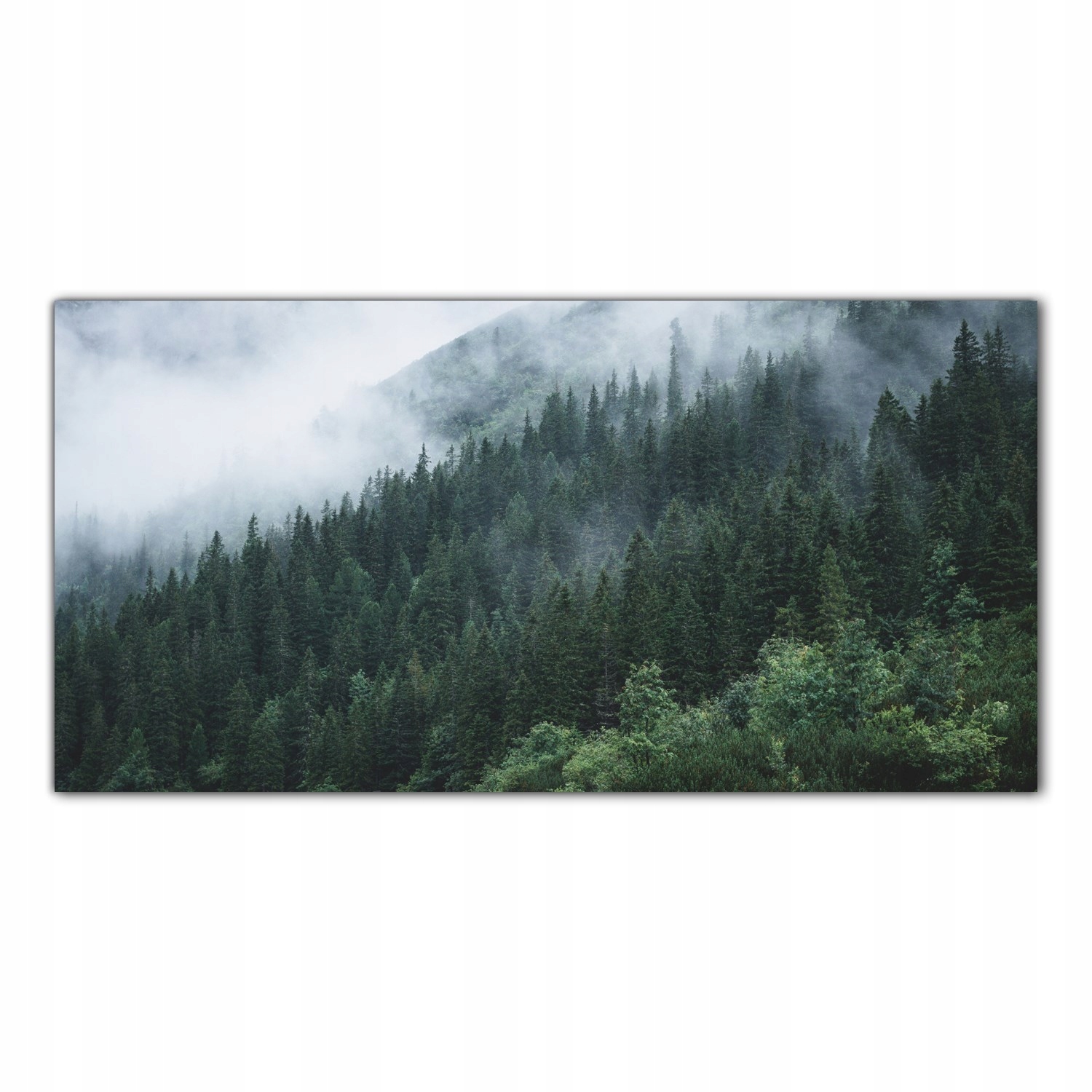 Mlha Hory Les Príroda 100x50 Panel sklo do kuchyne
