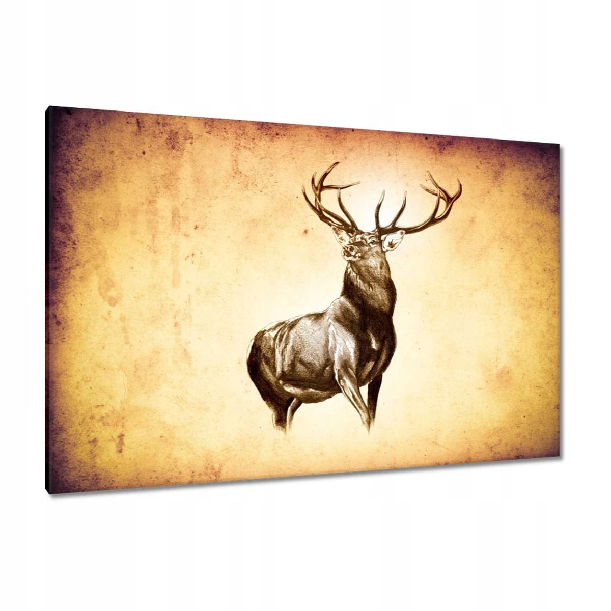 Obrazy 120x80 Jelen s rohy