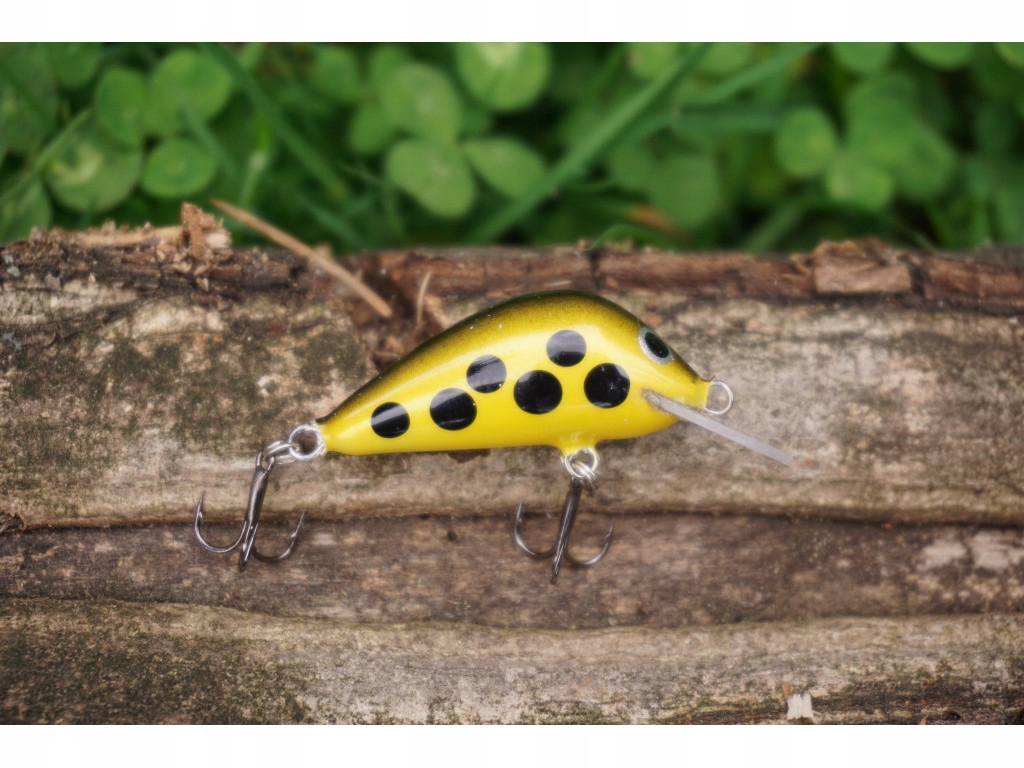 Irek Gębski z Lędyczka Kleniowo-jaziowy 3,5 cm