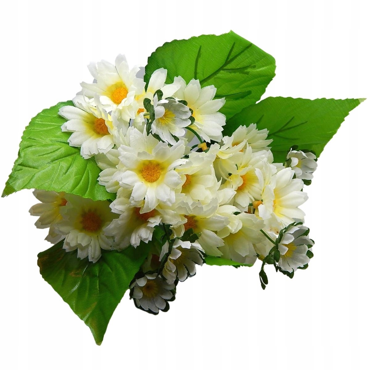 Rumianek Kremowy Bukiet Do Wazonu