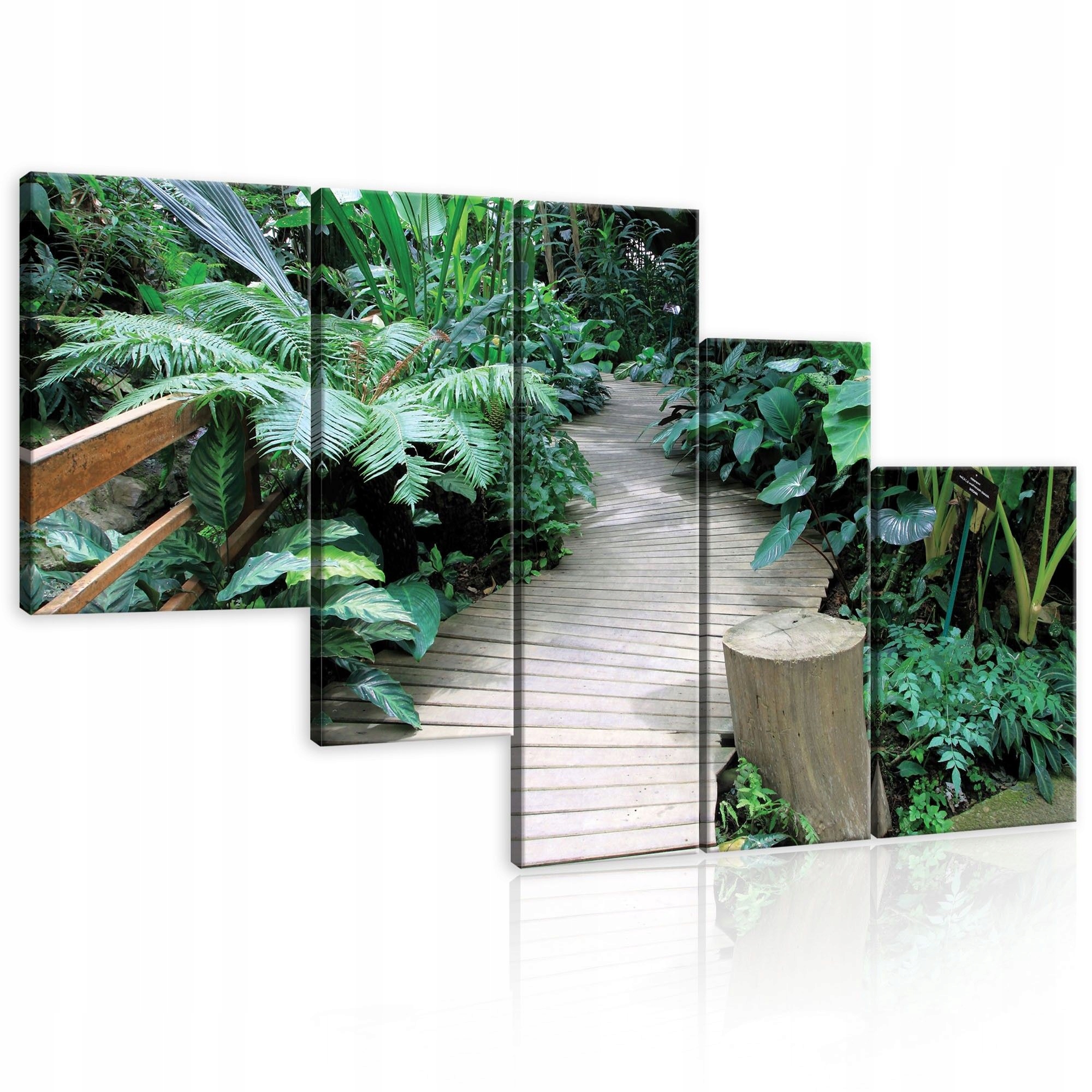 Obraz 170x100 Tropické džungle exotika zelená vegetácia príroda pokoj