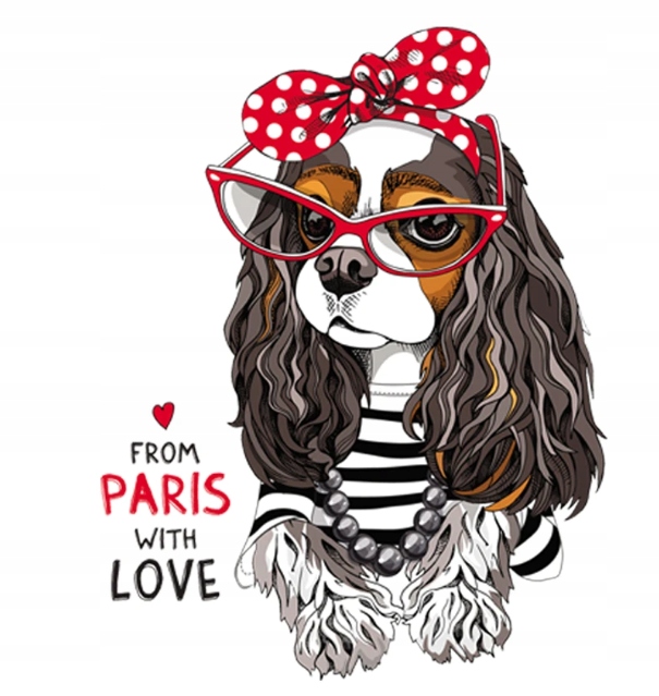 TERMO NAKLEJKA APLIKACJA NAPRASOWANKA-PIESEK Cavalier-F