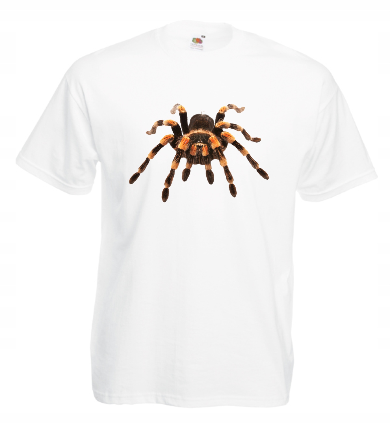 

Koszulka męska Pająk Tarantula M