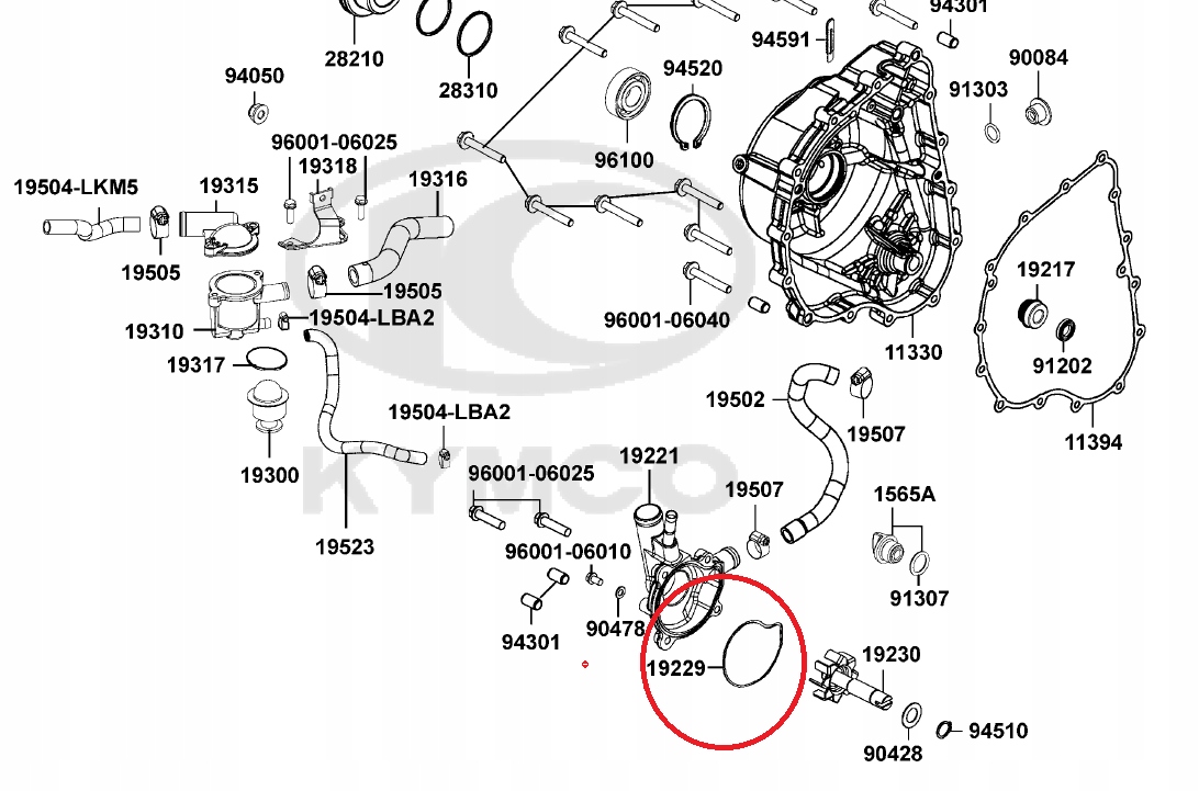 Oring Uszczelka Pompa Wody Kymco Mxu 700