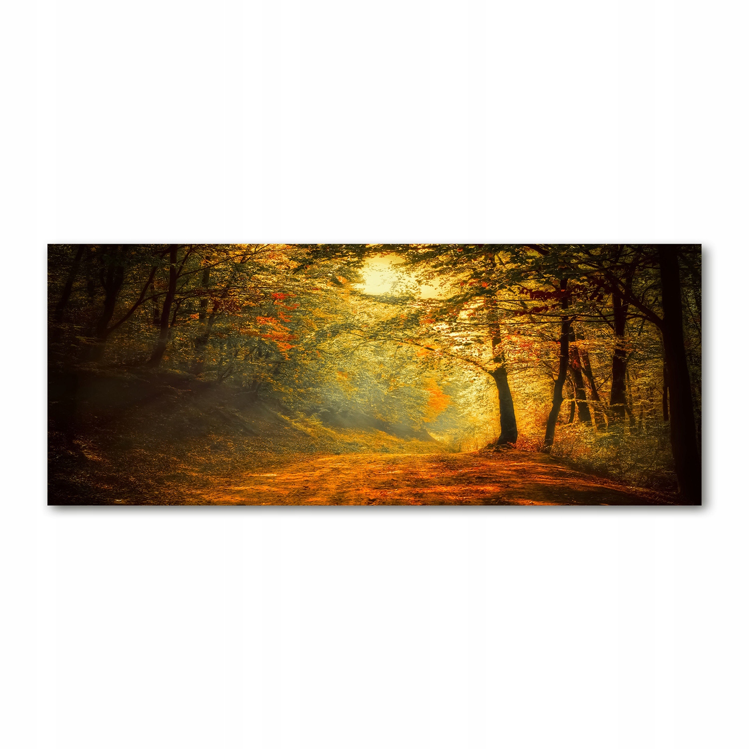 

Foto obraz akryl zdjęcie Las jesienią 125x50 cm