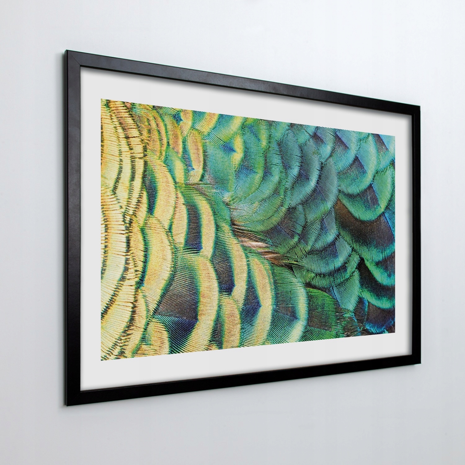 Obraz v ráme na stenu Perie vtáka páv 70x50 cm