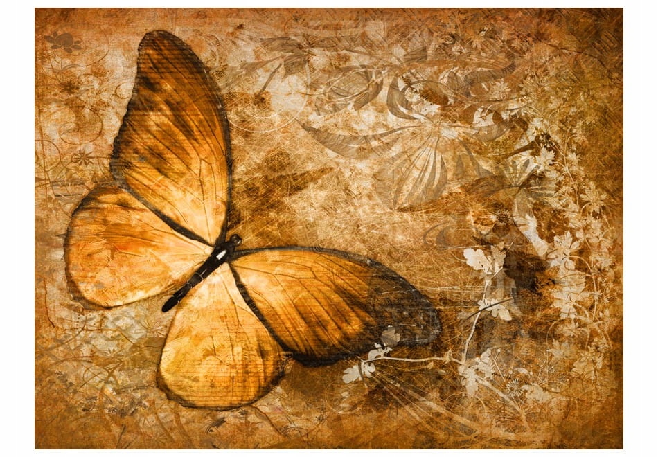 

Fototapeta - motyl (sepia) - 400X309