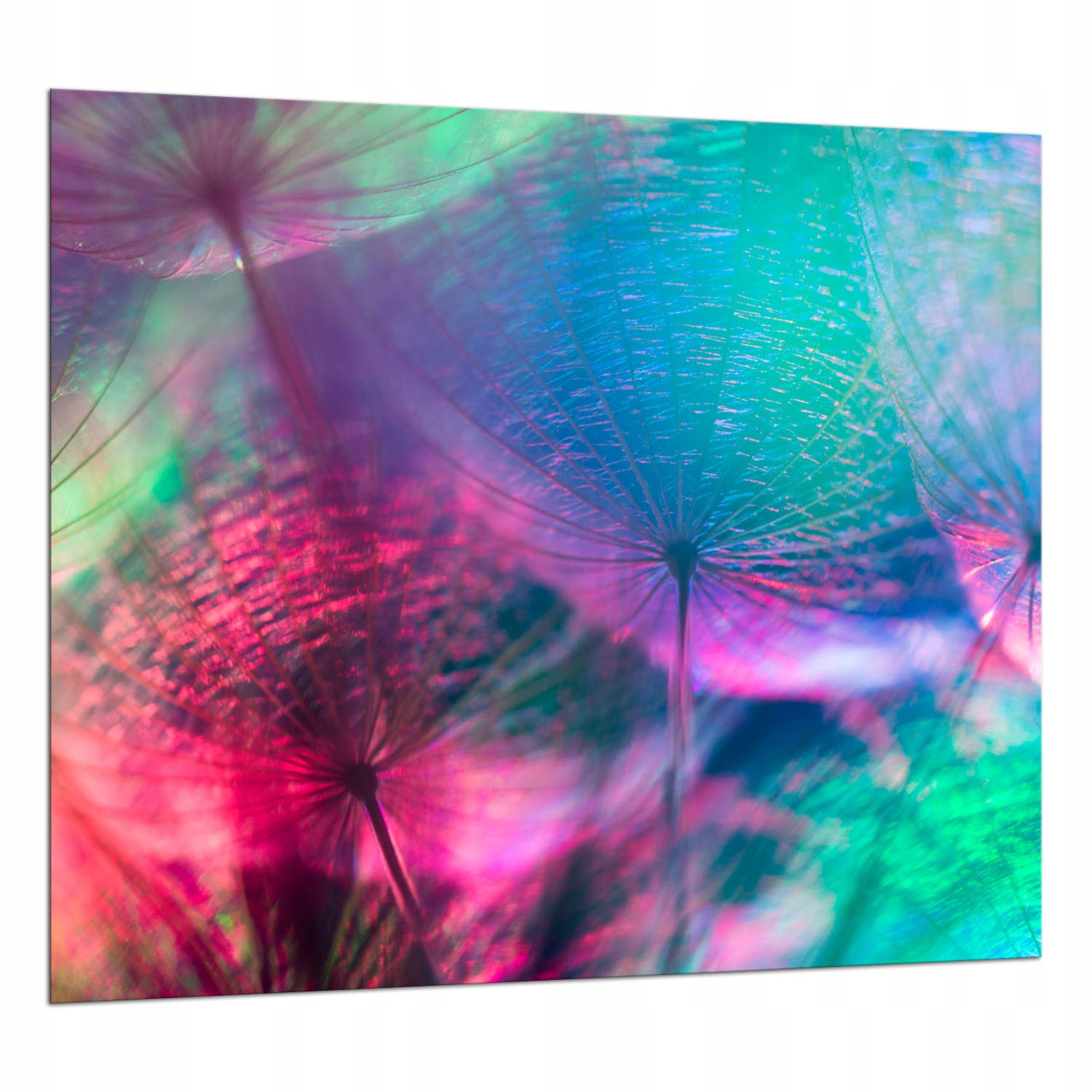 Skleněný Ochranný Panel Do Kuchyně 65x60 Květiny Lacobel 7v1