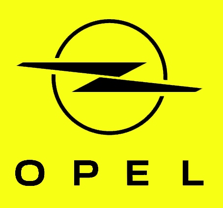 Książka serwisowa Opel 2024 sprawdzenie raportu VIN PDF