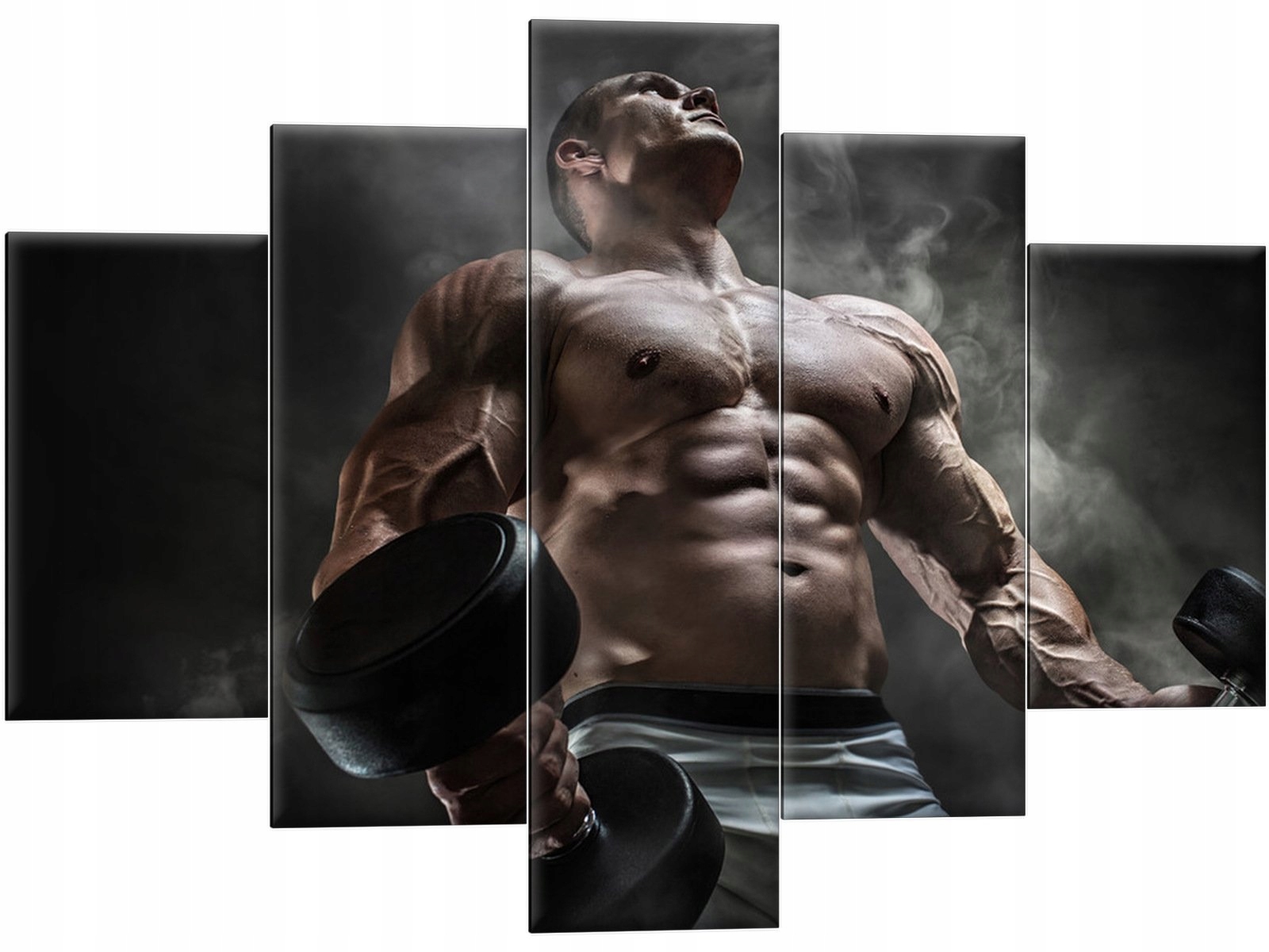 

Siłownia do siłowni fitness 150x105 Tryptyk Obraz