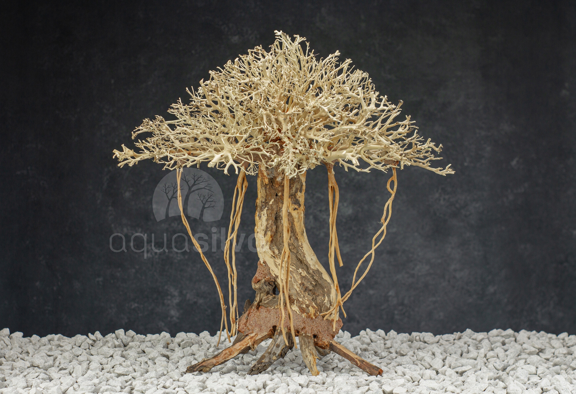 Levně Aquasilva Adasonia L akvarijní kořen strom aqua bonsai
