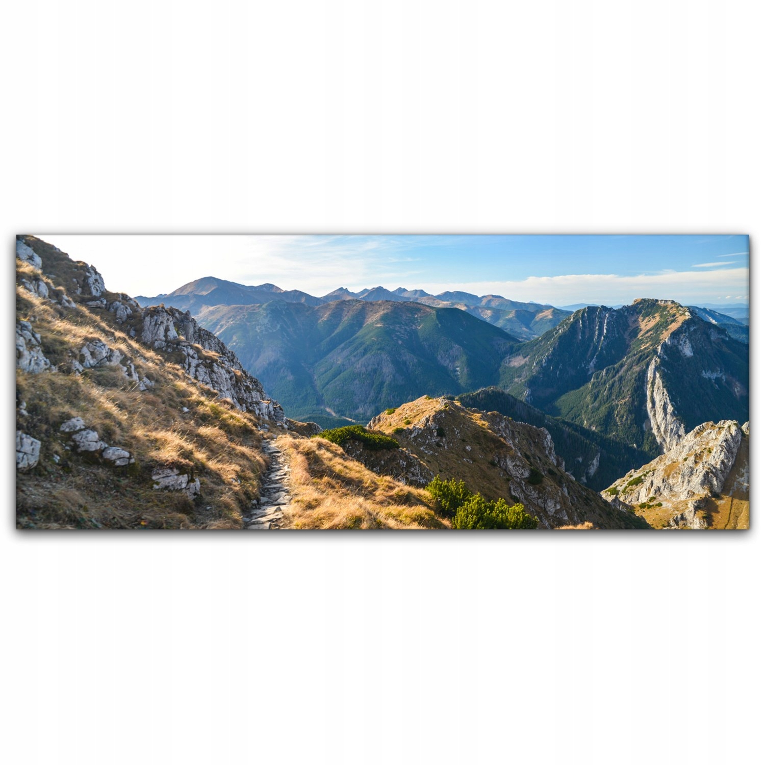 

Obraz canvas na ścianę 125x50 Ścieżka Tatry Góry