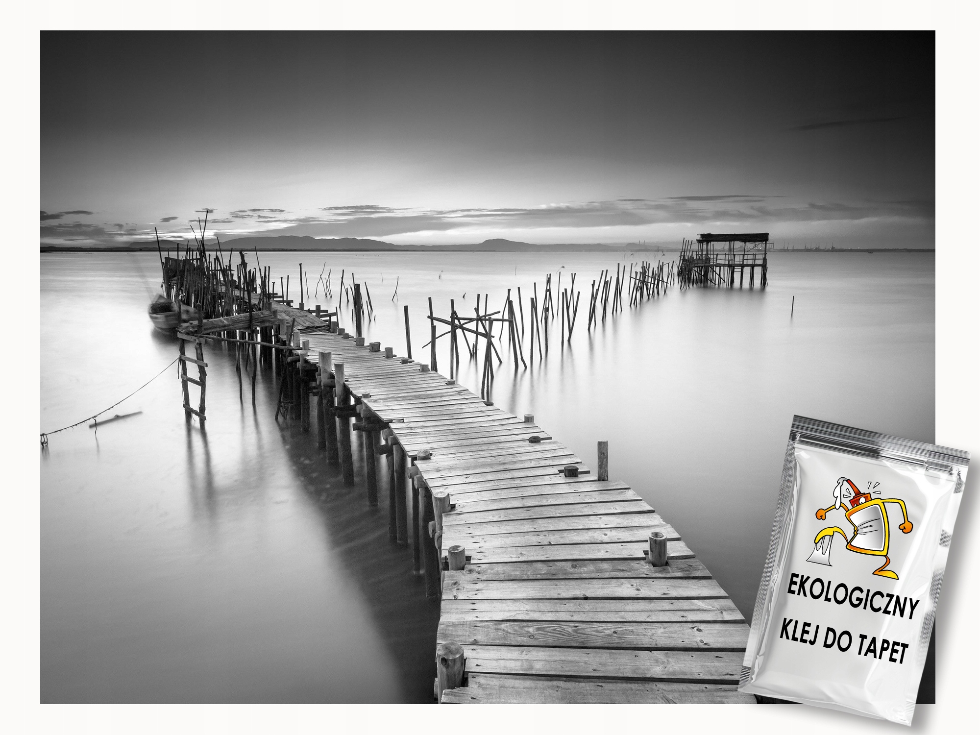 Fototapeta Flizelina Krajina přírody Most černo-bílý 200x140 lepidlo