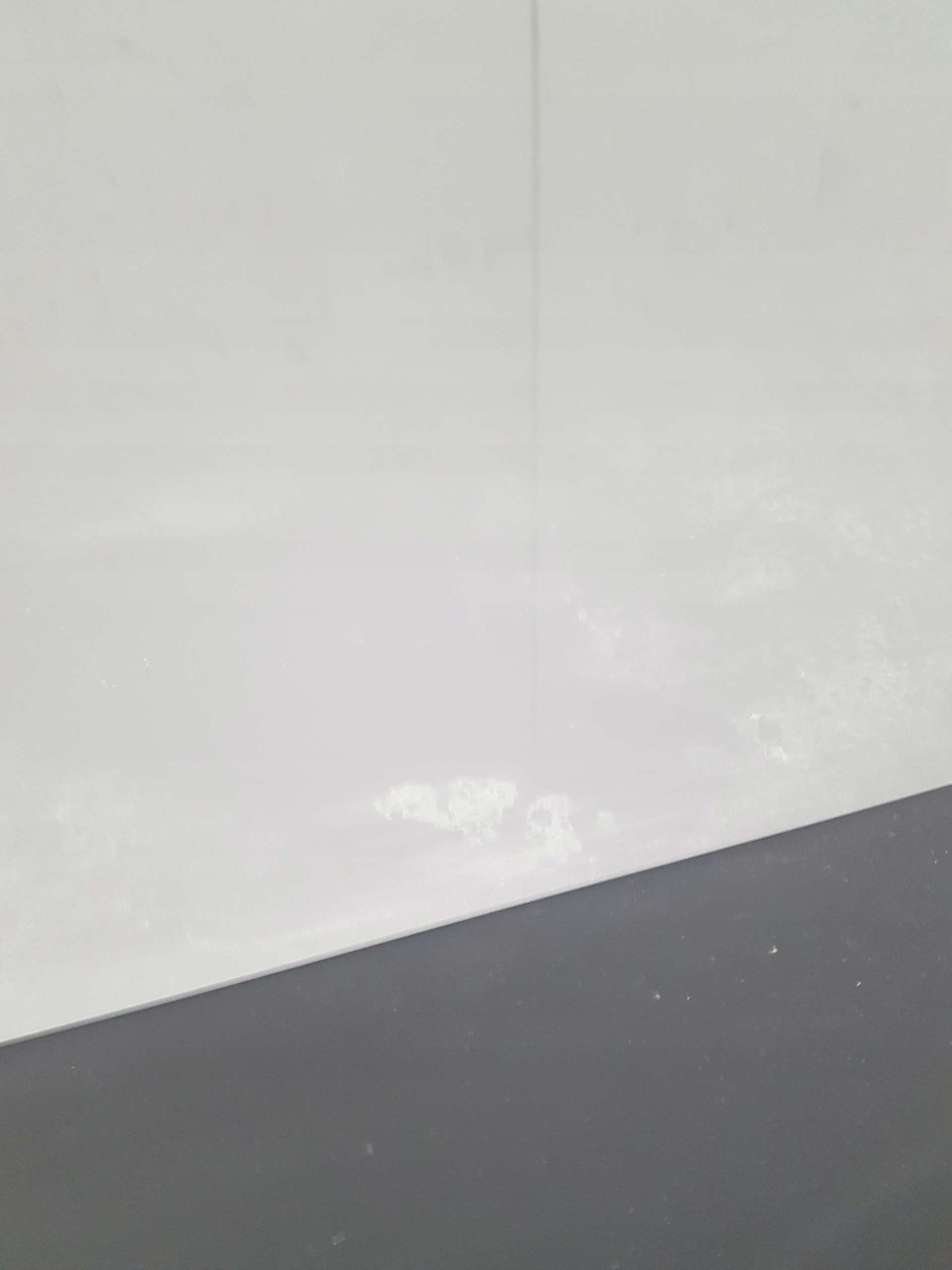 boot doors rear part LIFT Z KAMERKA reversing DODGE CHALLENGER 2019 SPOILER