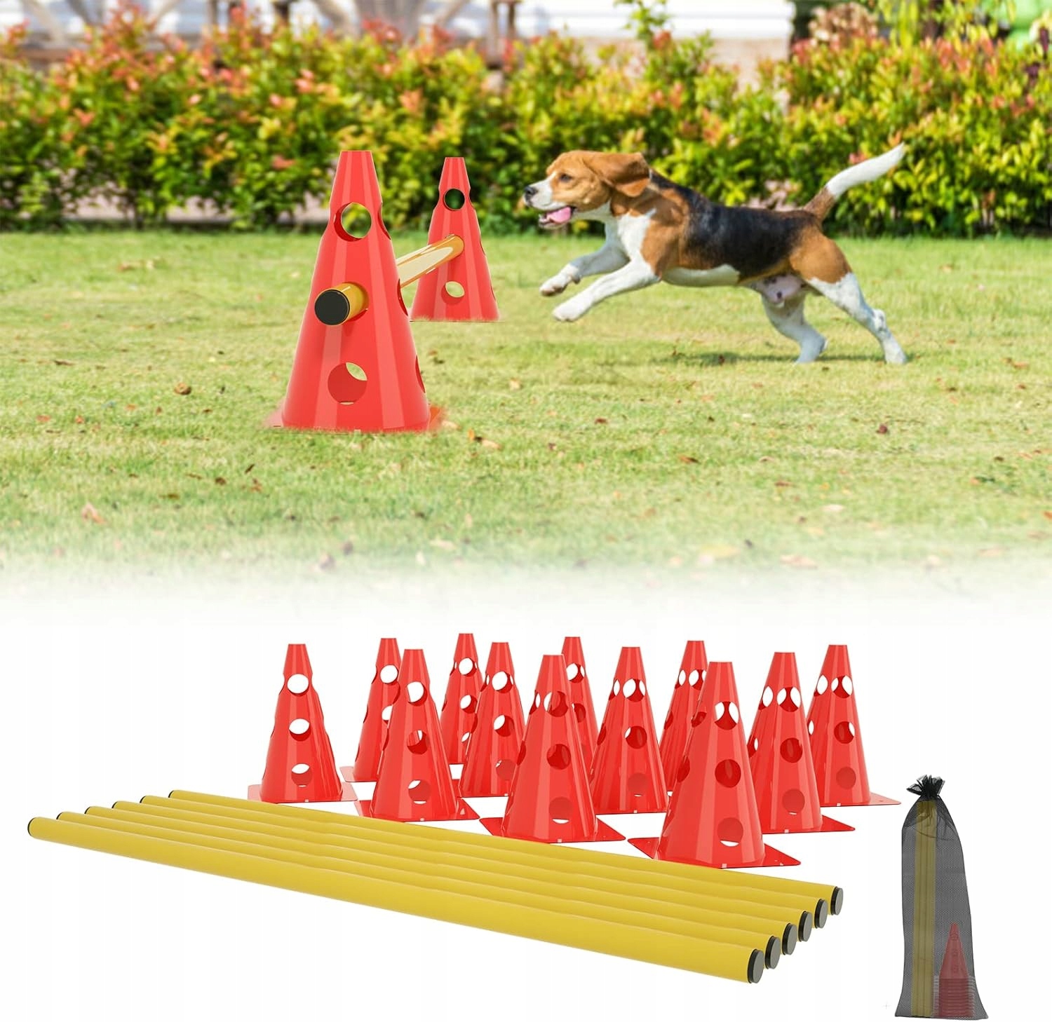 Zestaw 6 Płotek Do Treningu Koordynacyjnego, Zestaw Wyposażenia Agility