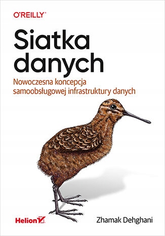 Siatka danych. Nowoczesna koncepcja samoobsługowej
