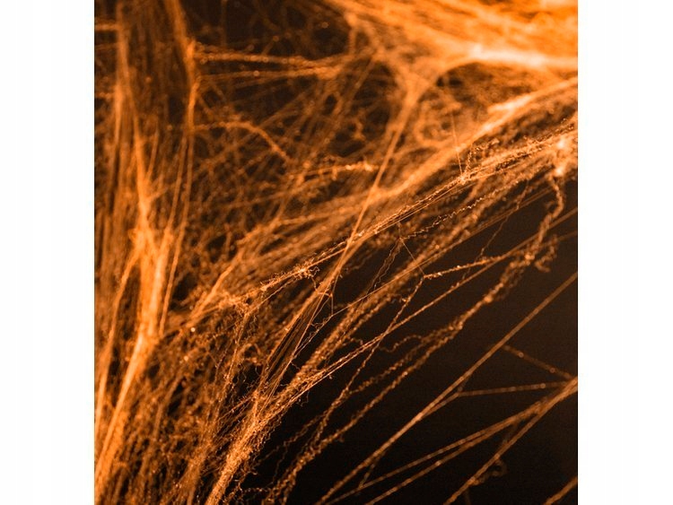 PAJĘCZYNA POMARAŃCZ HALLOWEEN 60G Rodzaj pajęczyna