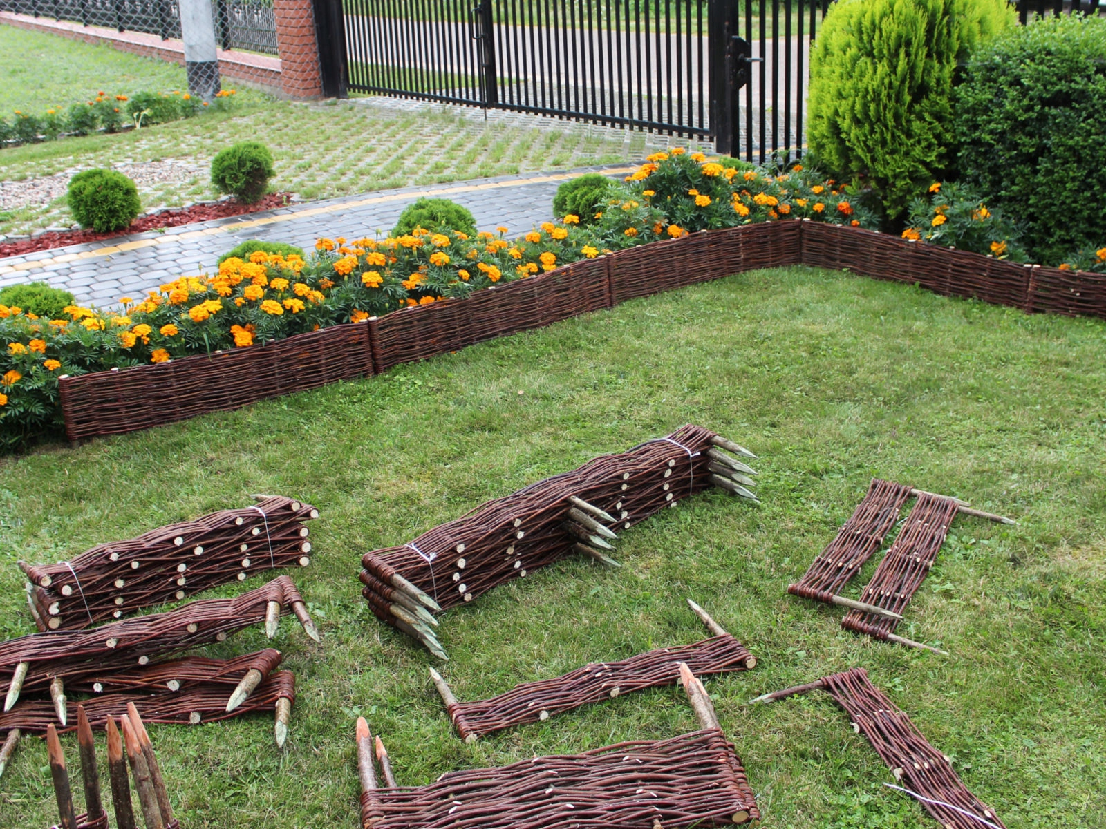 Płotek Wiklinowy - Palisada 100x30/50 Producent Długość 100 cm