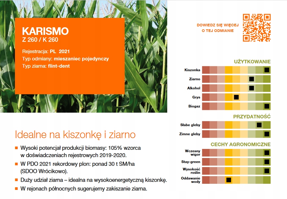 Kukurydza KWS KARISMO nasiona 50 tyś. Marka KWS