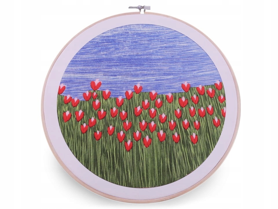 Vyšívací sada na plátně s tamborkem a mulinem