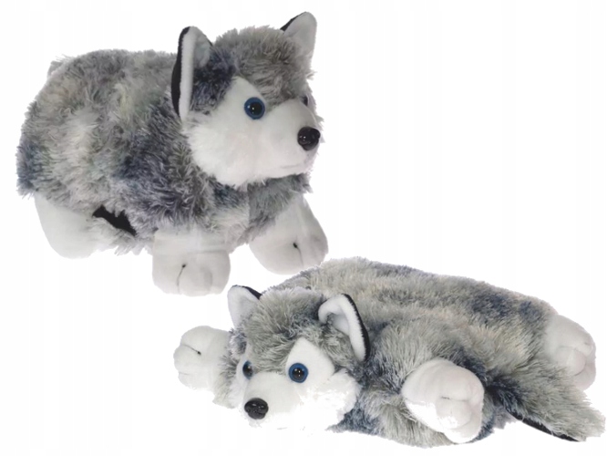 

pies Husky Poduszka 2w1 pluszowa Maskotka ozdoba