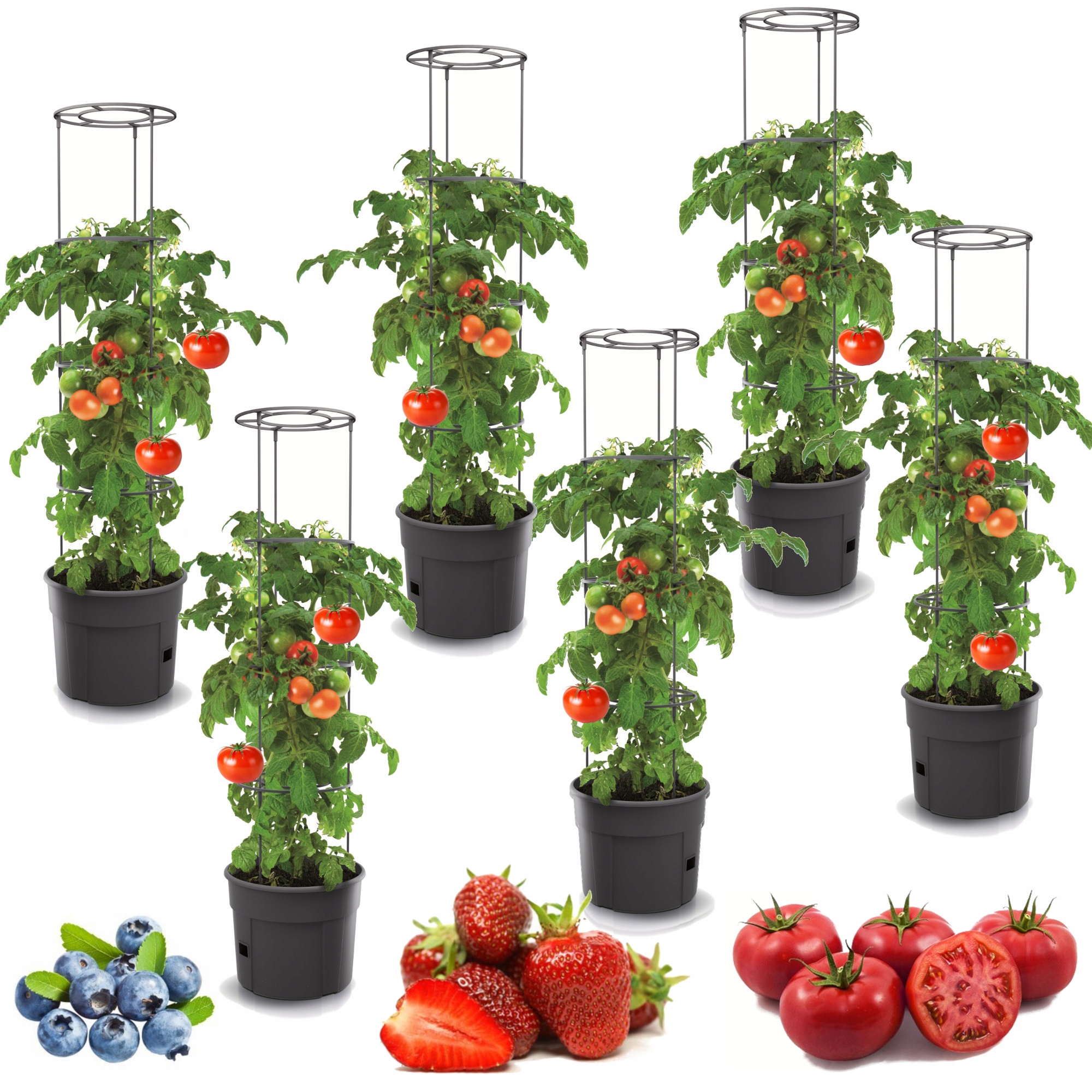

6x Donica na warzywa pomidory papryka fasola 29cm