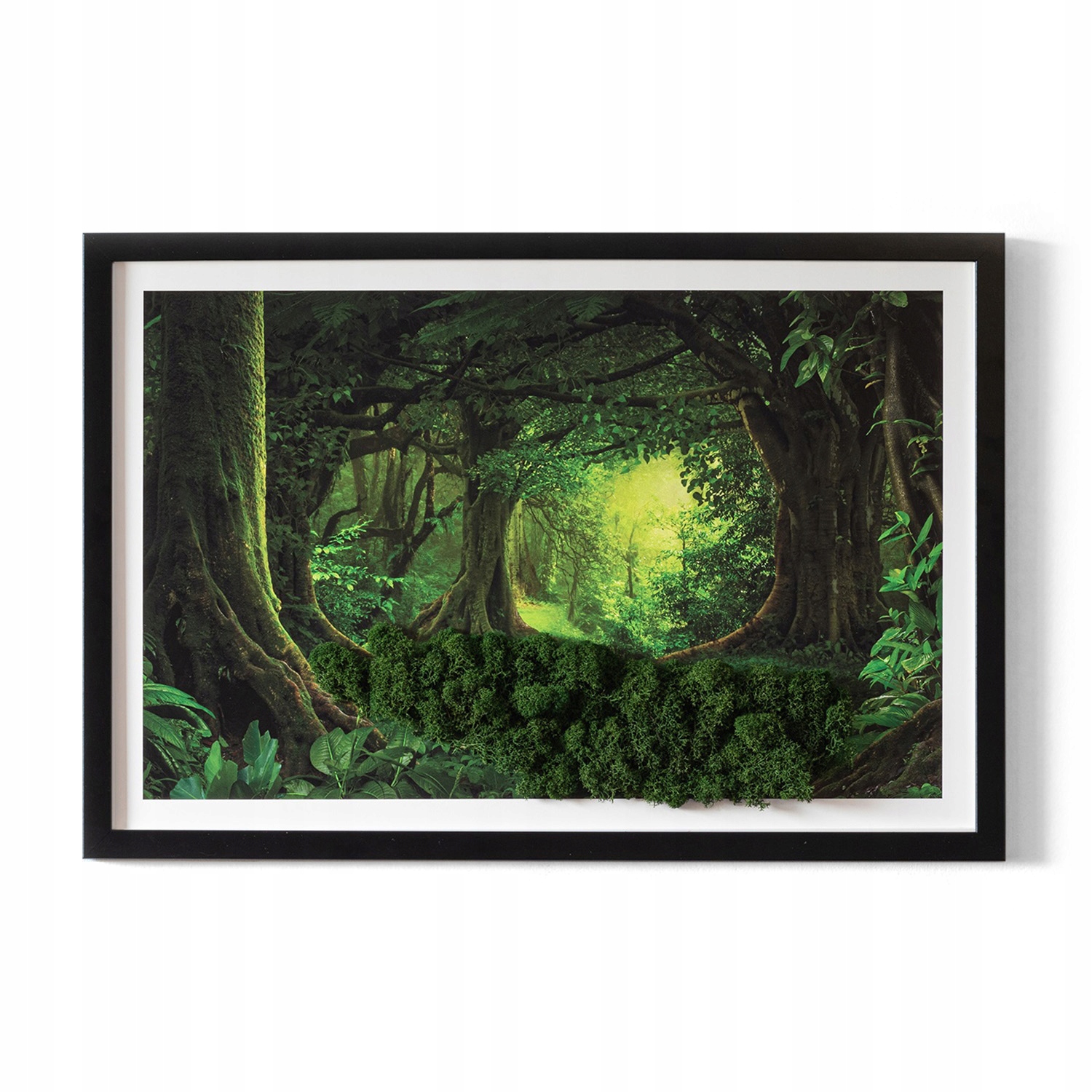 Obraz nalepený machom Darček Džungľa 60x40 cm