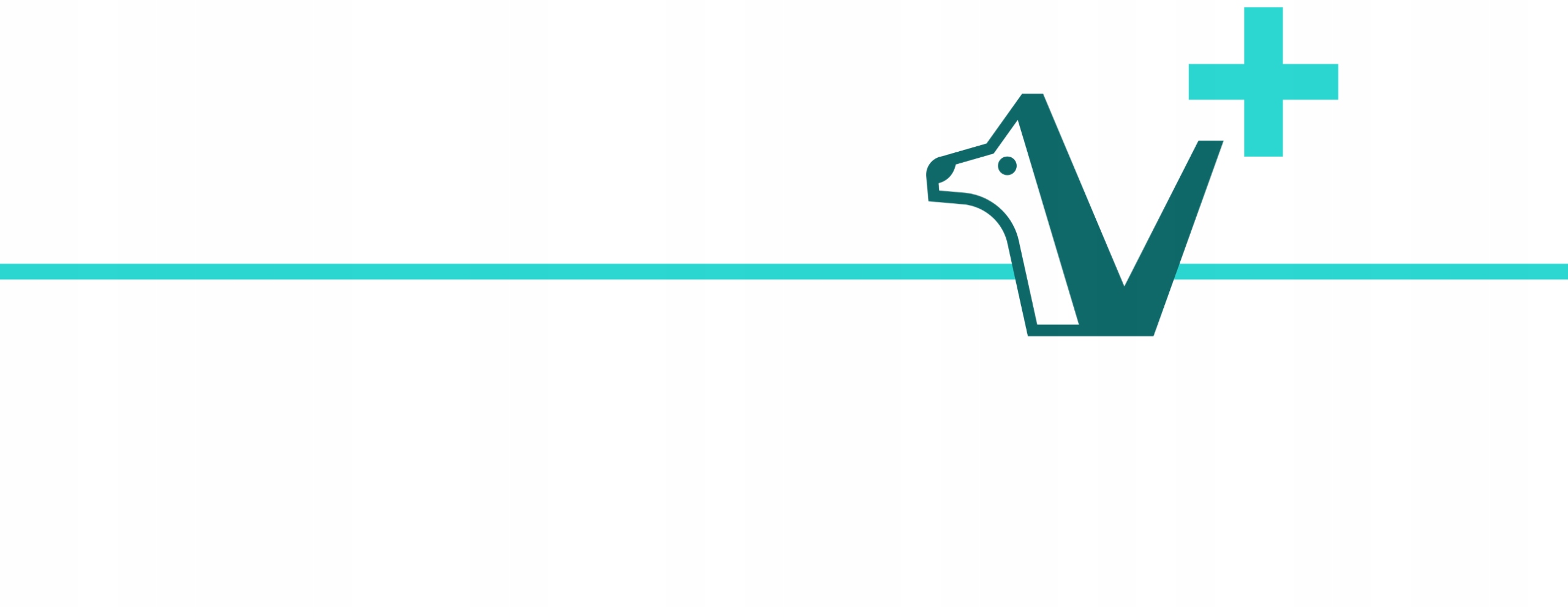 Aplikator do podawania tabletek sztywna końcówka Nazwa handlowa Aplikator do podawania tabletek