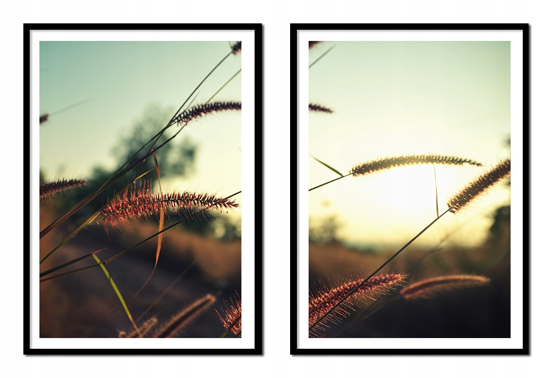 Obraz Plakáty V Rámu 53x73 cm Diptych Sada 2 obrazů Trávy Boho P2176