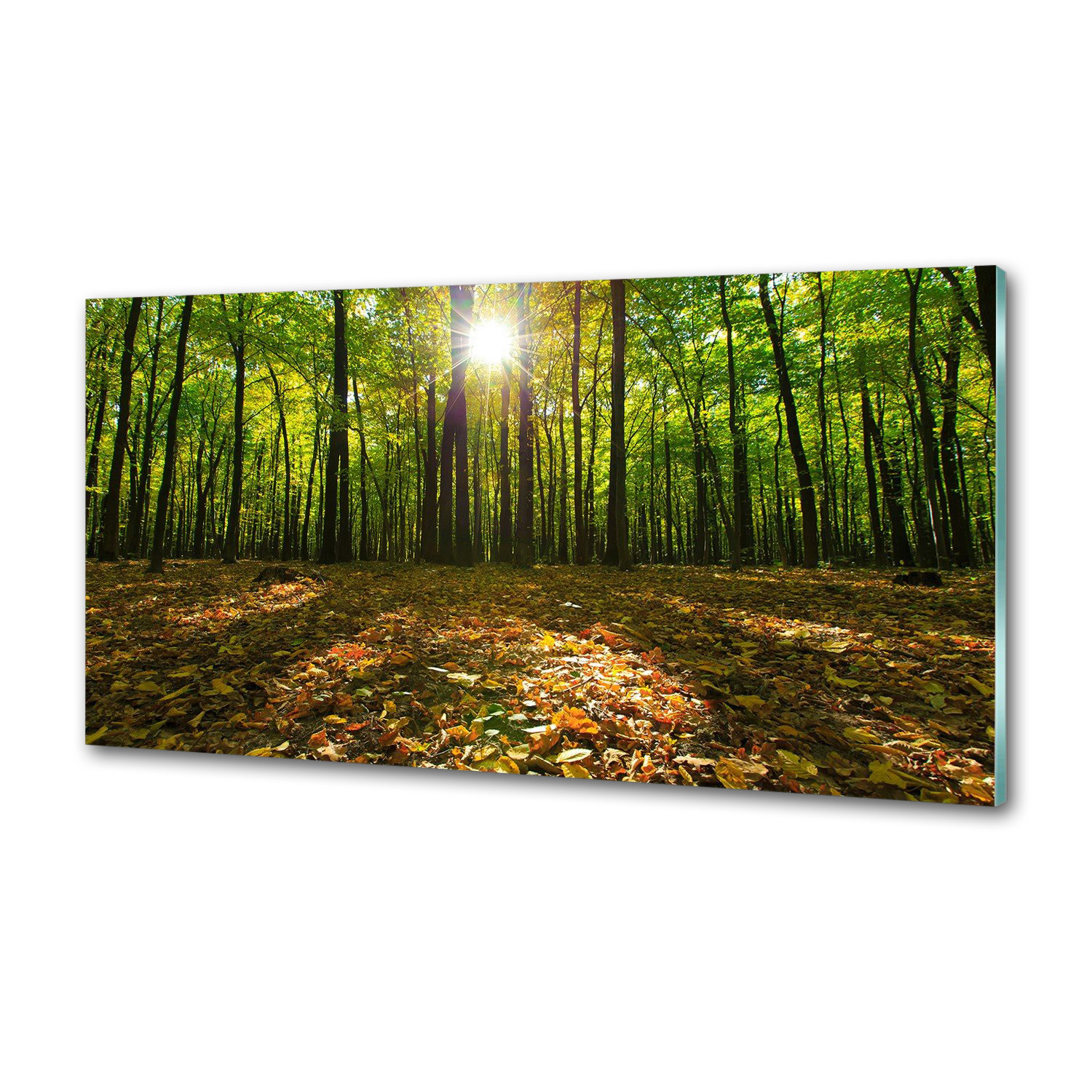 Panel tvrdené sklo do kuchyne Les 120x60 Lepidlo