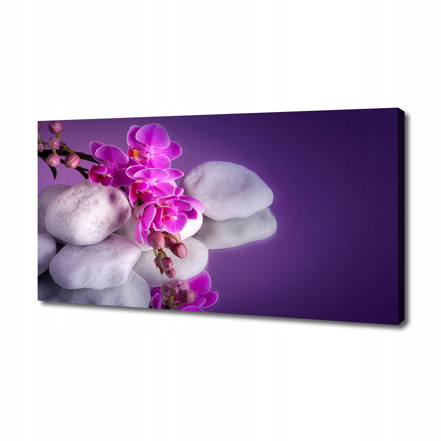 

Foto obraz canvas na ścianę Orchidea 140x70 cm