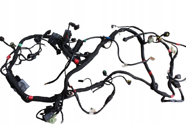 GABN6.0989 - DUCATI 821 MONSTER 15R ДЖГУТ ПРОВОДІВ ЕЛЕКТРОПРОВОДКА