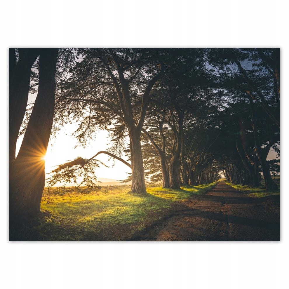 

Naklejki 70x50 Pejzaż Krajobraz Widoczek