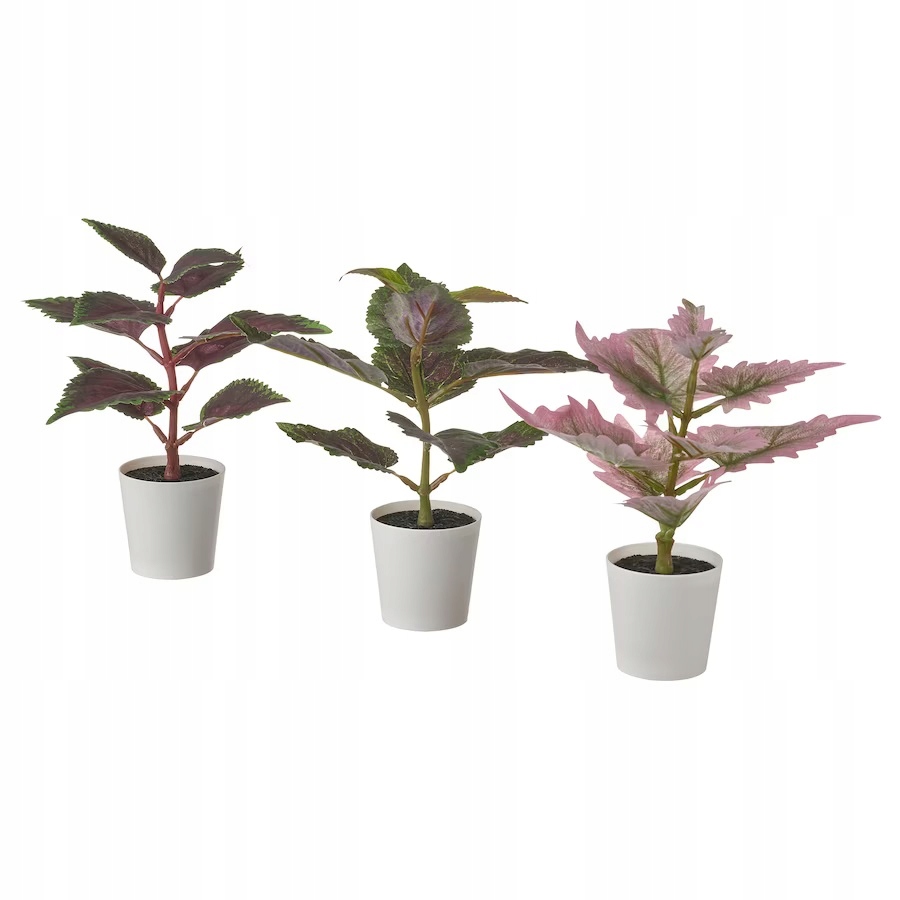 

Ikea Fejka Sztuczne Kwiat 3szt Koleus Solenostemon
