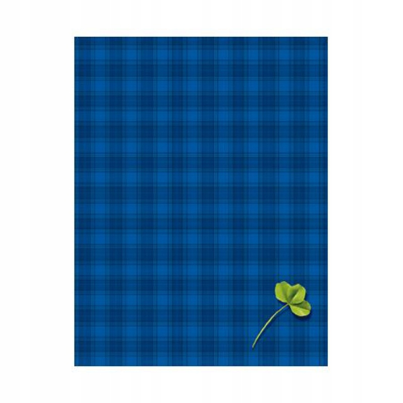 Rzeczy Do Szkoły Dla Ucznia Klasa 5 Brulion Tw A5 500k Kratka Dobra Jakość