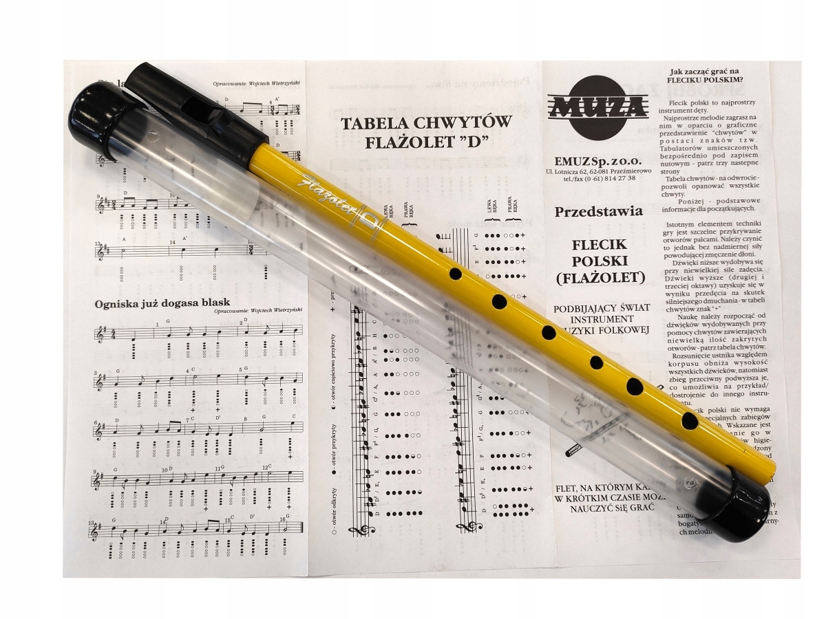 FLAŻOLET D MUZA ŻÓŁTY FLET FLECIK POLSKI ETUI TABELA CHWYTÓW ZESTAW