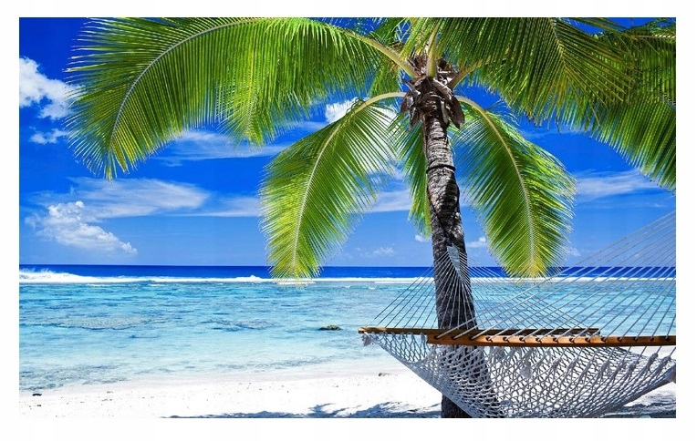 Fototapeta Rajská Pláž Palmy Moře Oceán Krajina Tapeta Na Zeď 368x254