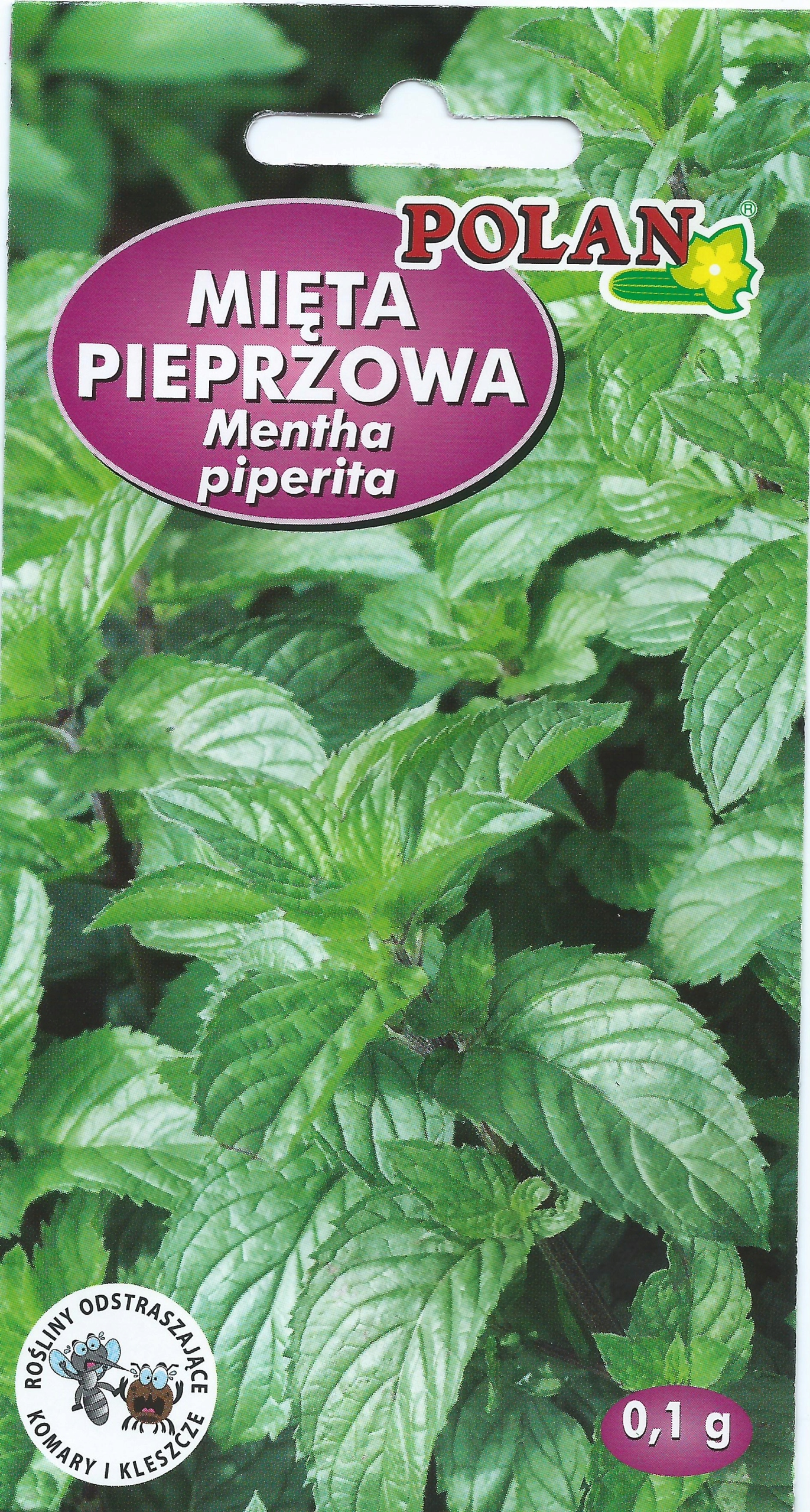 MIĘTA PIEPRZOWA nasiona ziół 0,1g POLAN