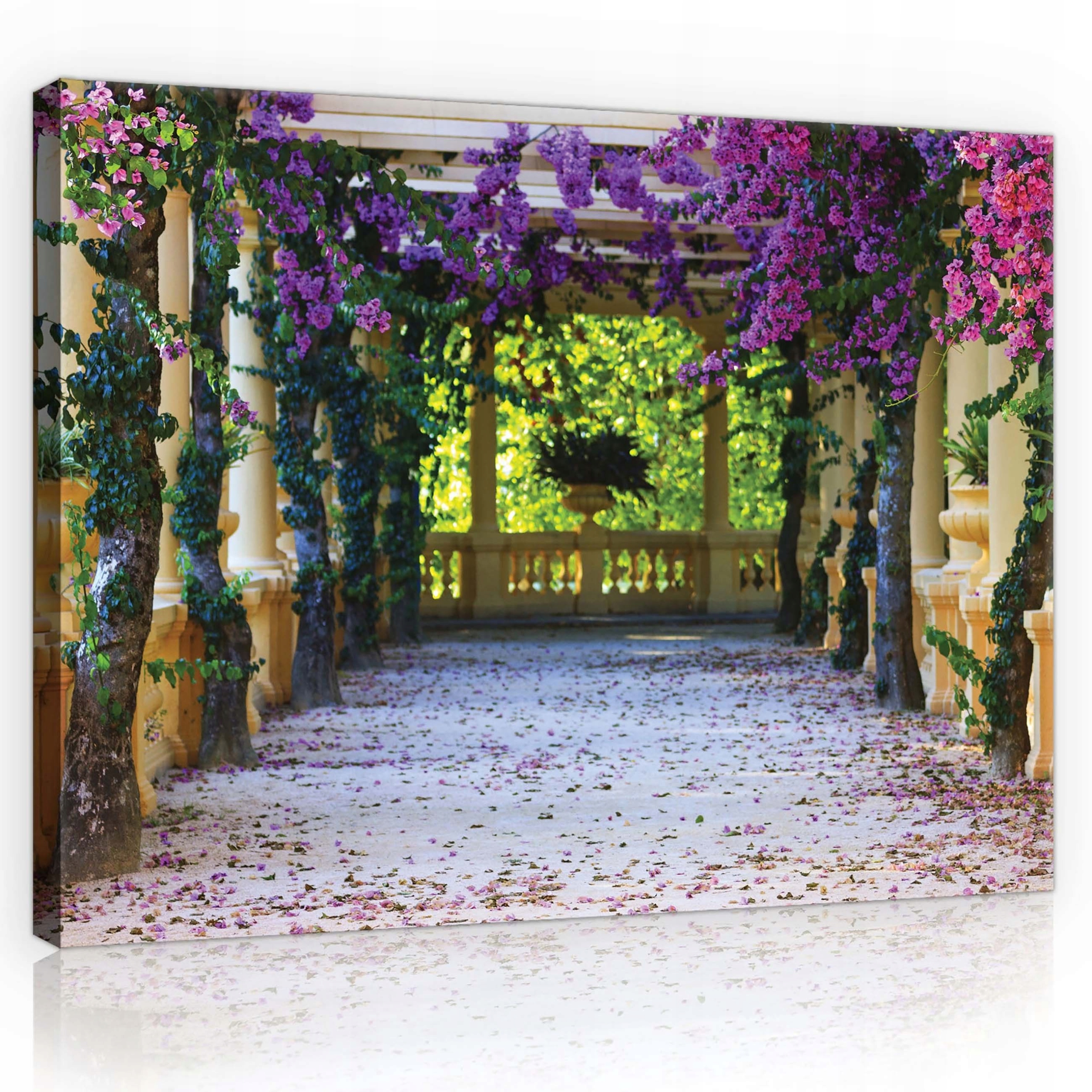 Obraz 100x75 Kvetoucí alej sloupy pergola květiny světlo stín klid