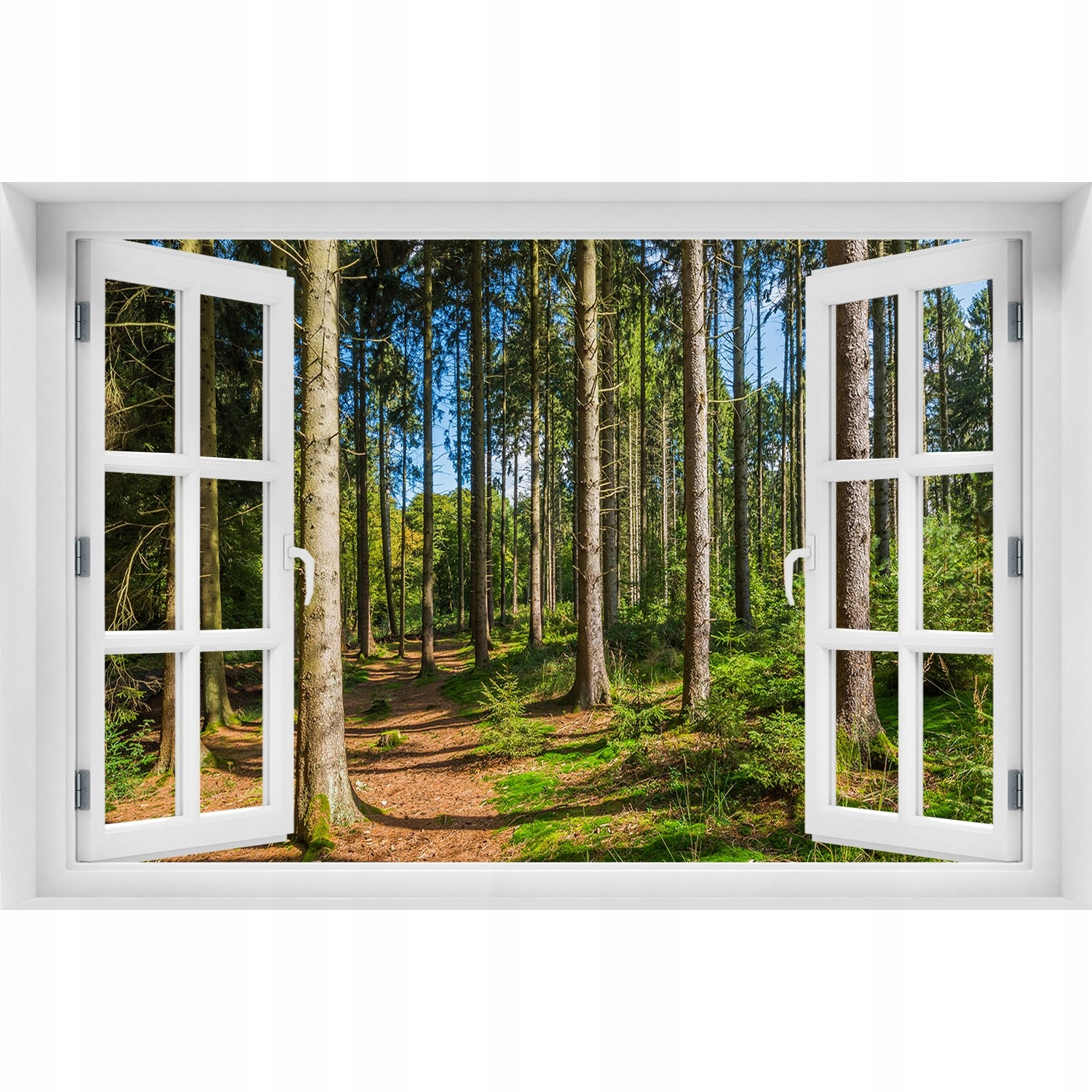 

Naklejka Fototapeta Okno widok Panorama lasu 90x60