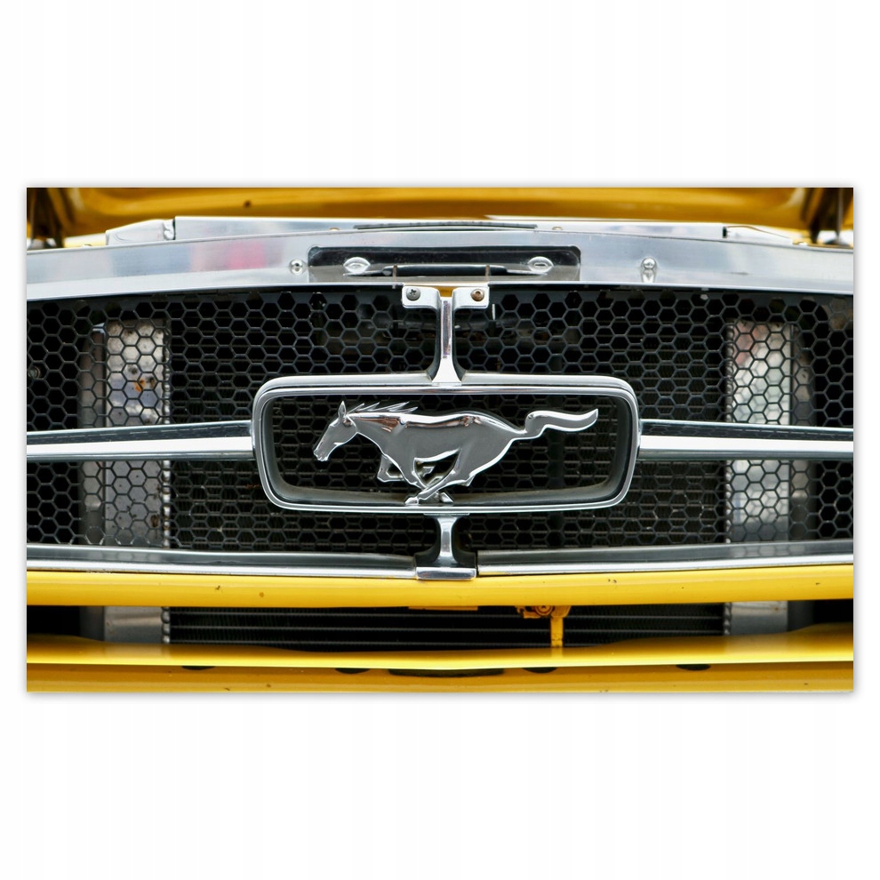 

Fototapety flizelina 416x254 Znak Ford Mustang