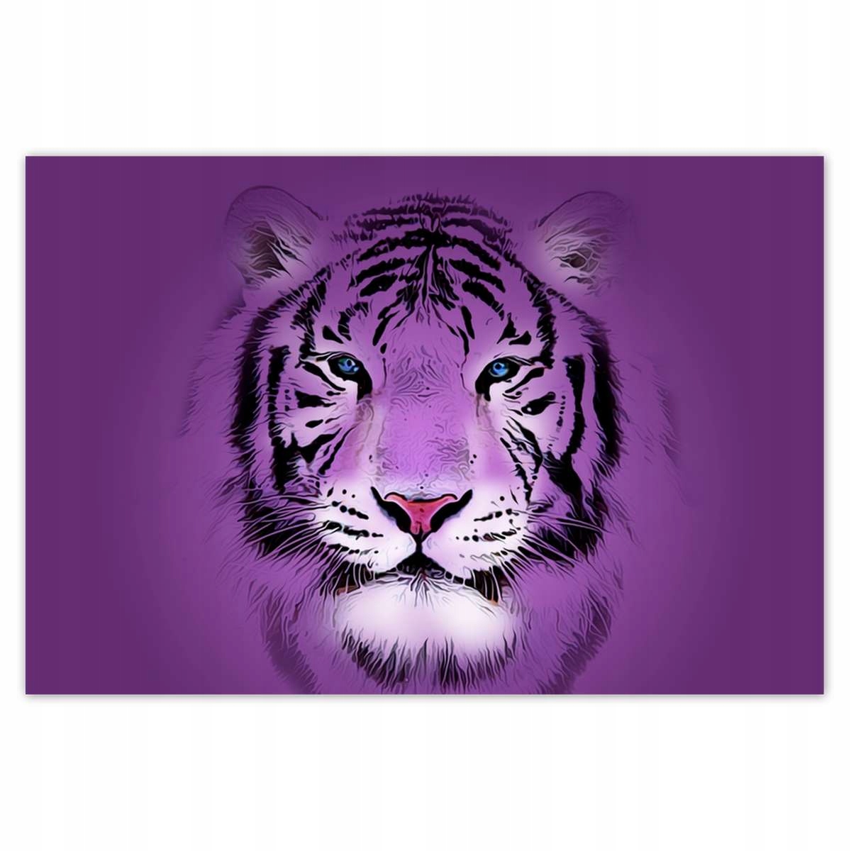 Plakáty 200x135 Fialový obrázek tygra