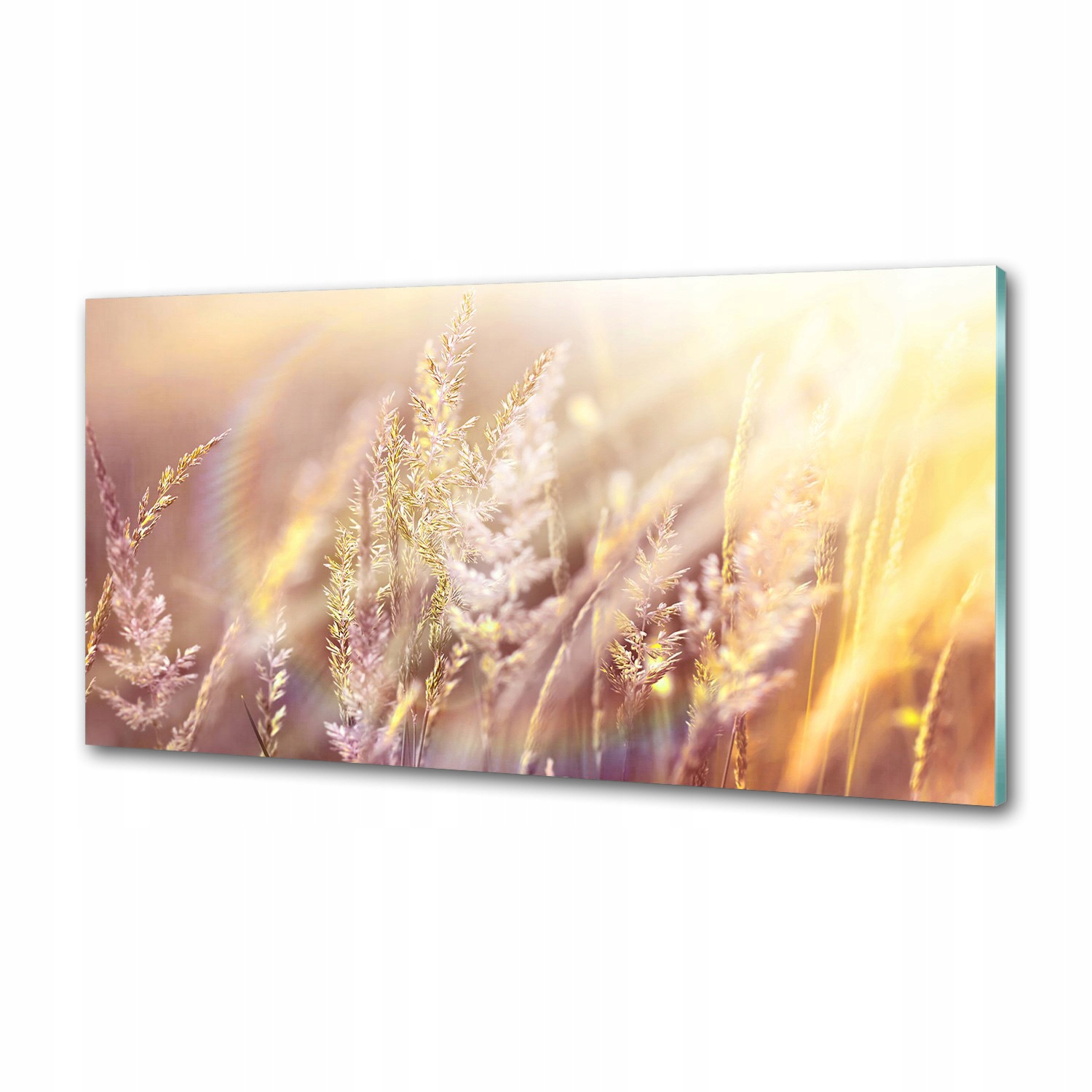 Dekorativní panel sklo Vysoká tráva 100 x 50 cm Lepidlo