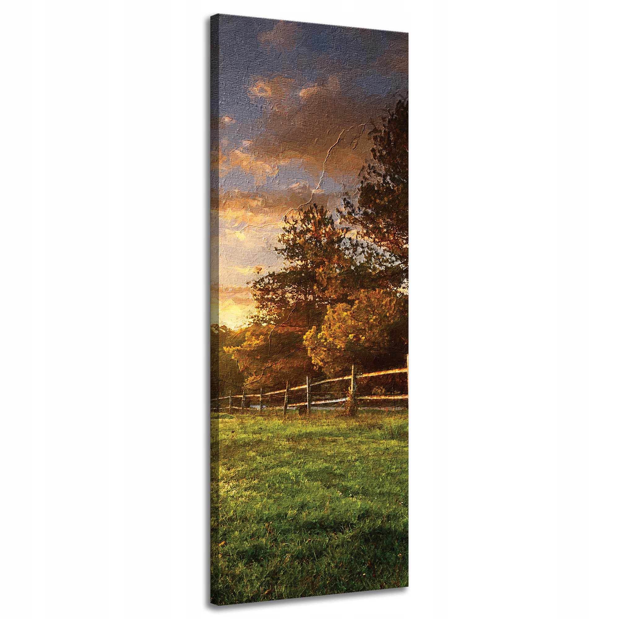 Obraz na plátně Slunce Krajina Venkovské stromy Louka 40x120 cm